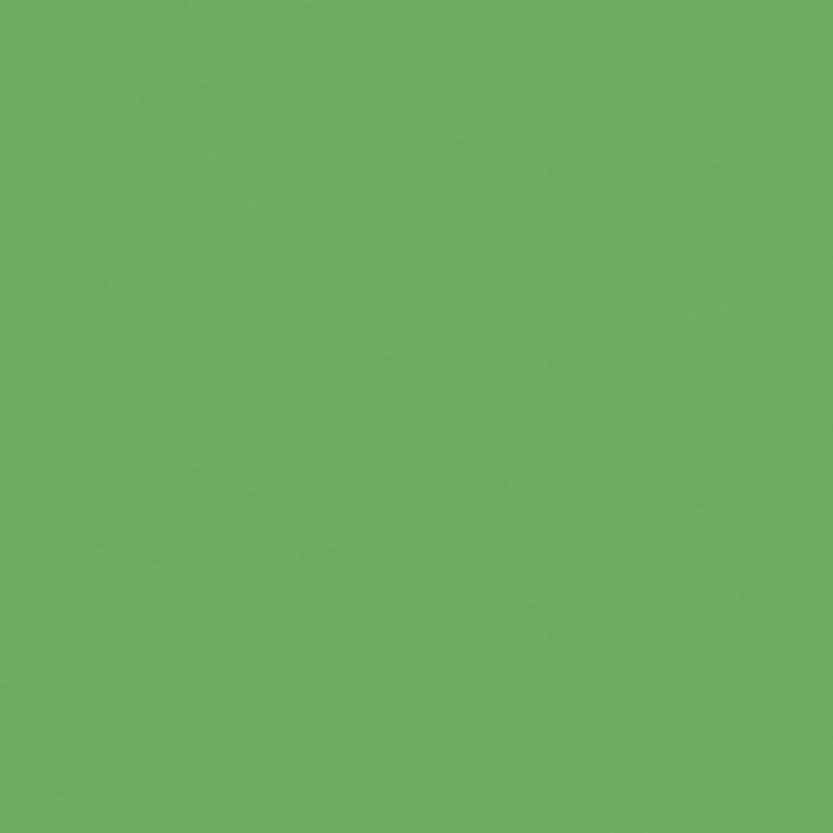 12 x 12 Weave Cardstock Bundle - Frog