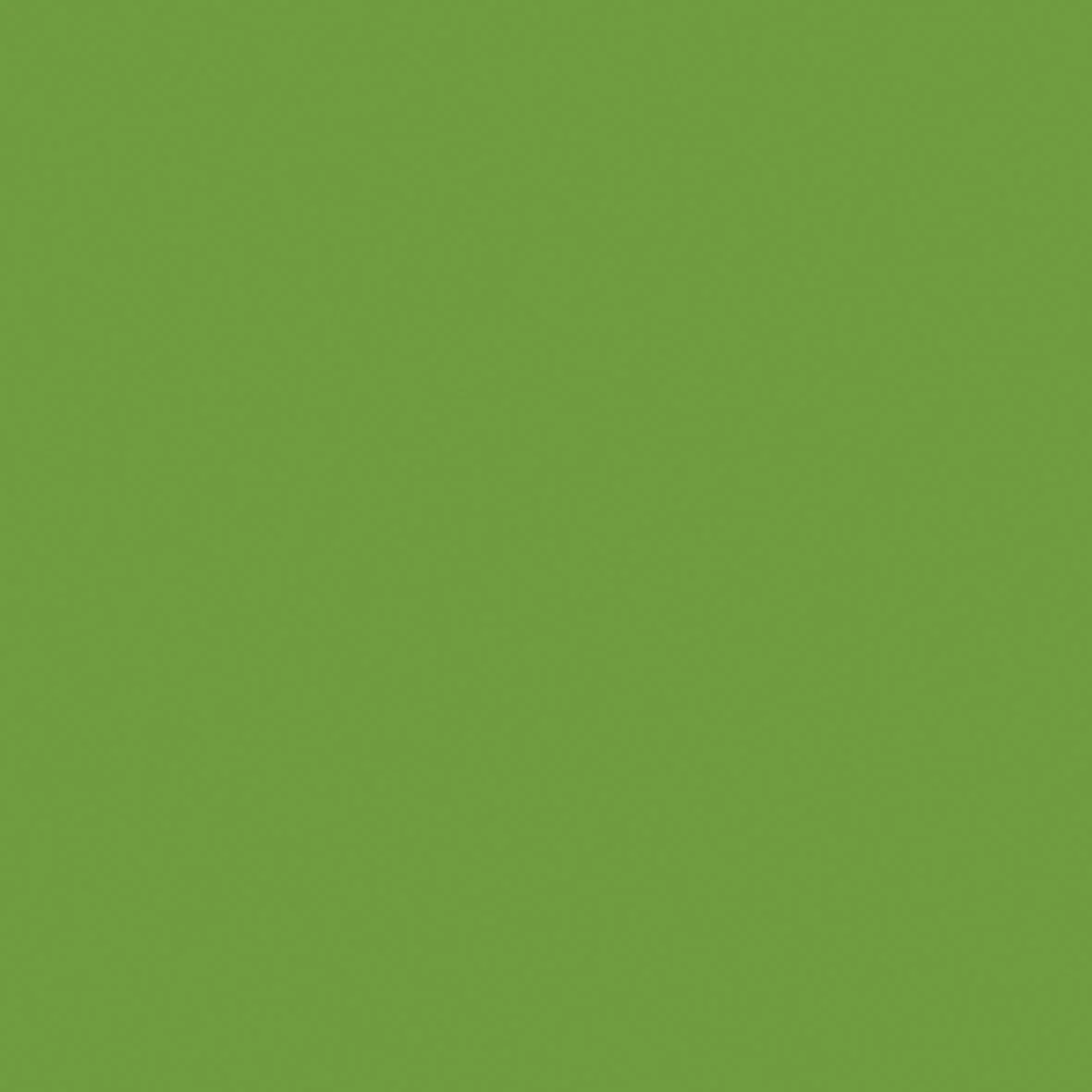 12 x 12 Weave Cardstock Bundle - Lime