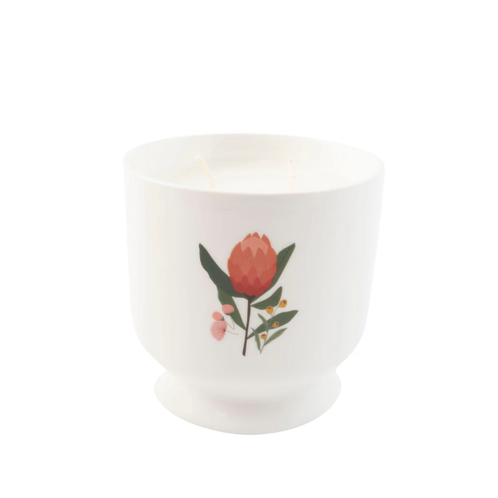 K&Co. Wild Flower Collection Ceramic Candle - WARATAH