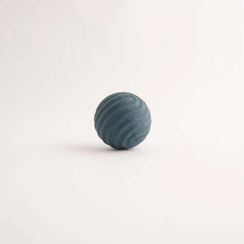 Pet Throw Ball - NAVY