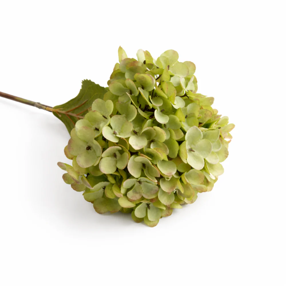 Lake House Collection Stem Hydrangea - GREEN