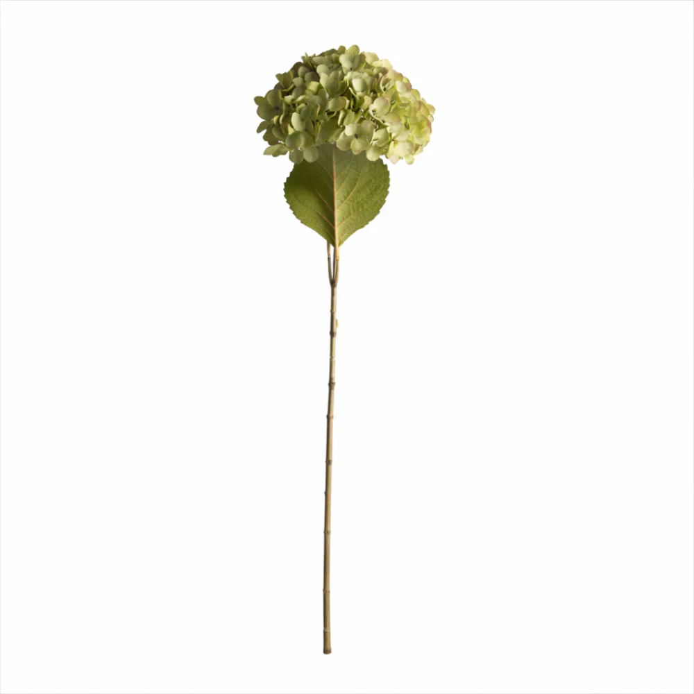 Lake House Collection Stem Hydrangea - GREEN - Image 3
