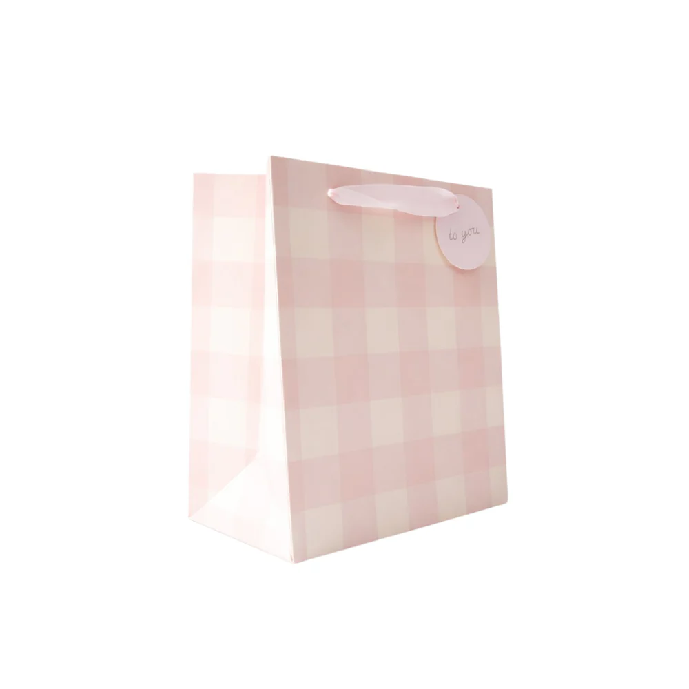 Small Gift Bag - BLUSH GINGHAM - Image 2