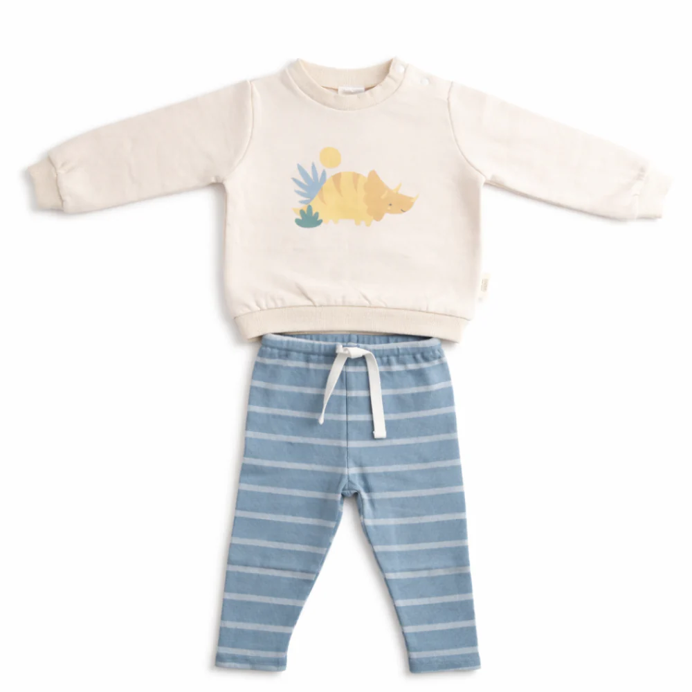Wonderland Baby Collection Crew Neck Sweater and Legging Set - DINOsaur